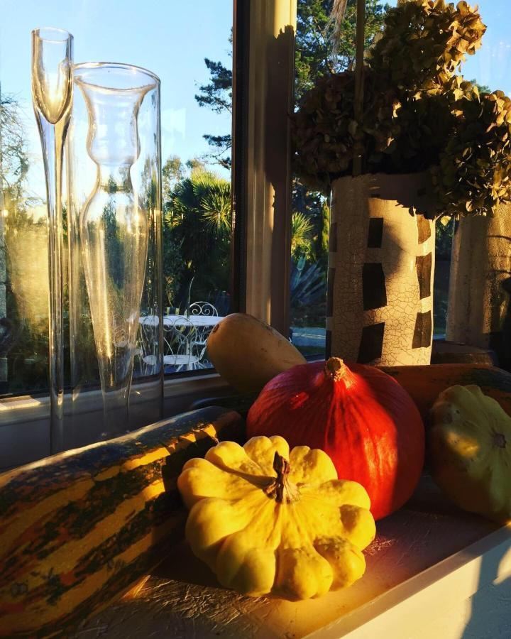 Les 3 Kois Bed & Breakfast Riec-sur-Belon Bagian luar foto
