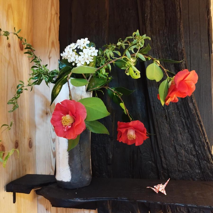 Les 3 Kois Bed & Breakfast Riec-sur-Belon Bagian luar foto