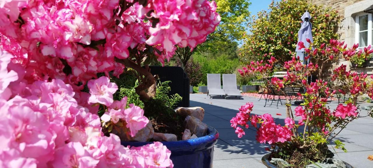 Les 3 Kois Bed & Breakfast Riec-sur-Belon Bagian luar foto