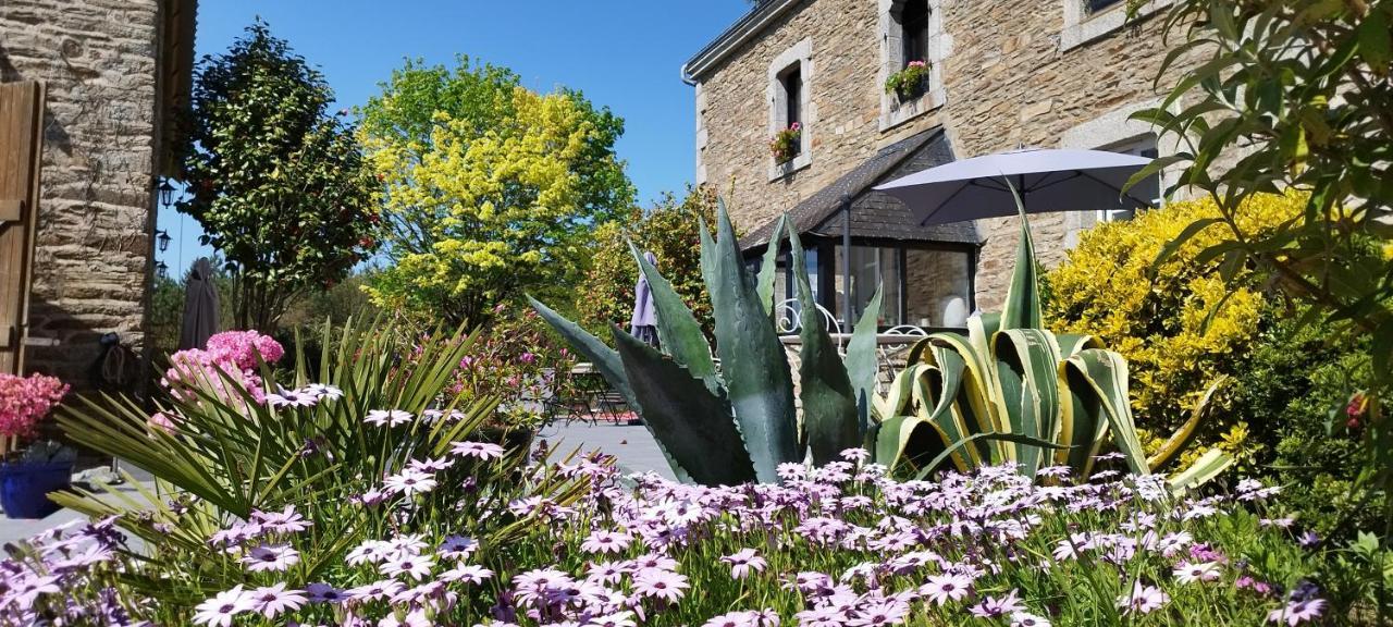 Les 3 Kois Bed & Breakfast Riec-sur-Belon Bagian luar foto